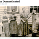 Illustration for article titled Domesticating Women: Funny, Too Close For Comfort